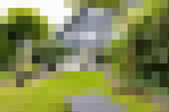Sweelinckstraat 2 Groenlo thumbnail 64