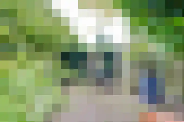Sweelinckstraat 2 Groenlo thumbnail 65