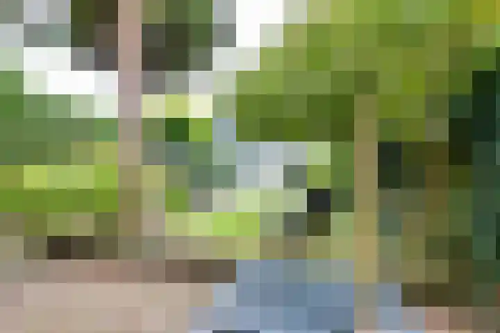 Sweelinckstraat 2 Groenlo thumbnail 67