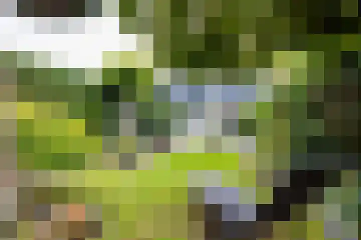 Sweelinckstraat 2 Groenlo thumbnail 68