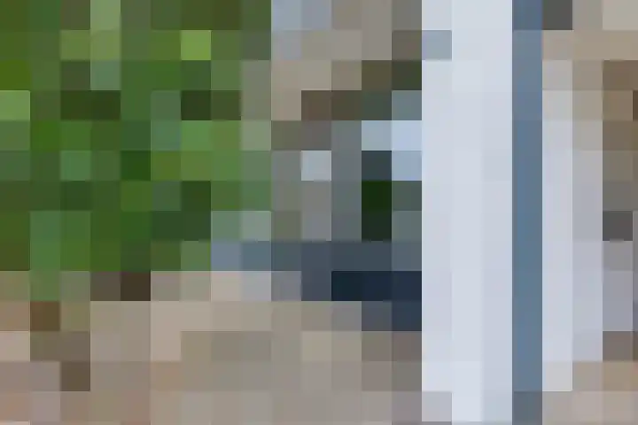 Sweelinckstraat 2 Groenlo thumbnail 76