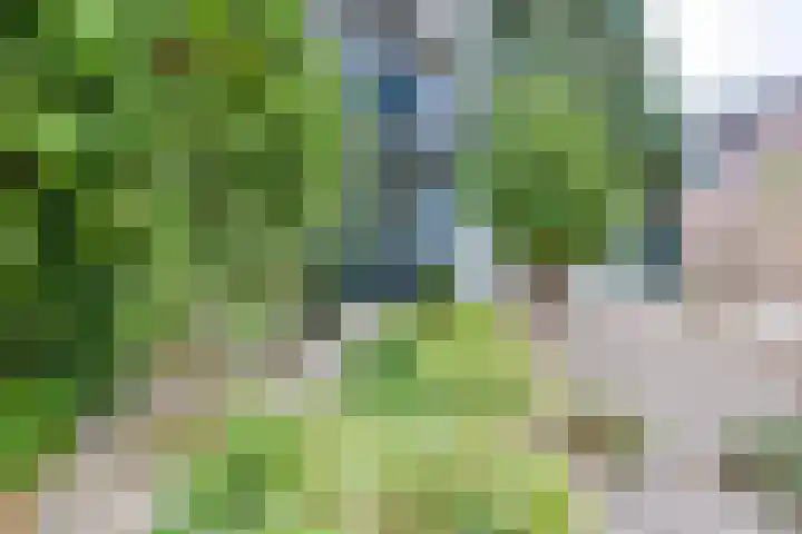 Sweelinckstraat 2 Groenlo thumbnail 77