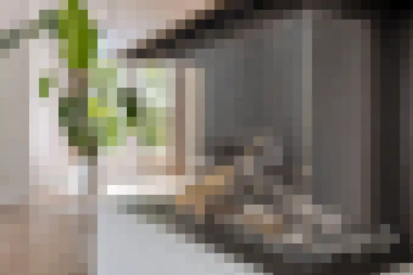 Sweelinckstraat 2 Haaksbergen thumbnail 14