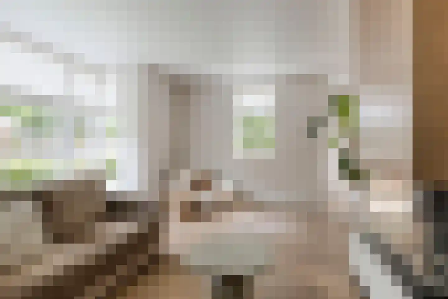 Sweelinckstraat 2 Haaksbergen thumbnail 15