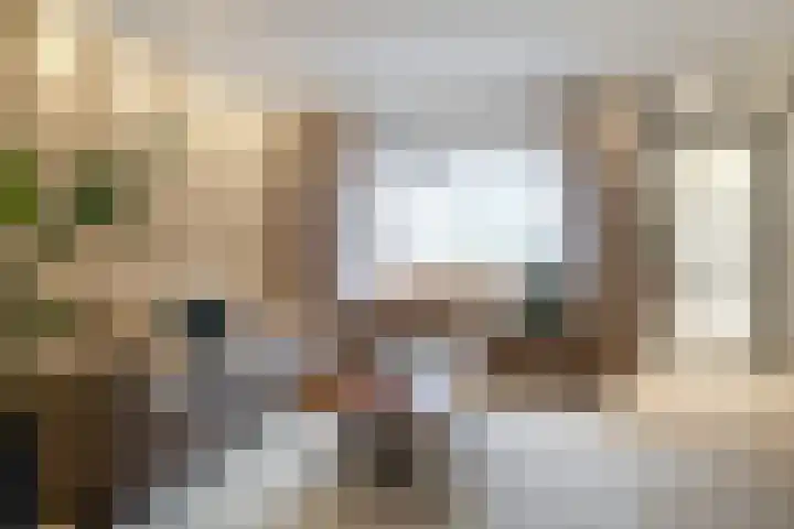 Sweelinckstraat 20 Losser thumbnail 10