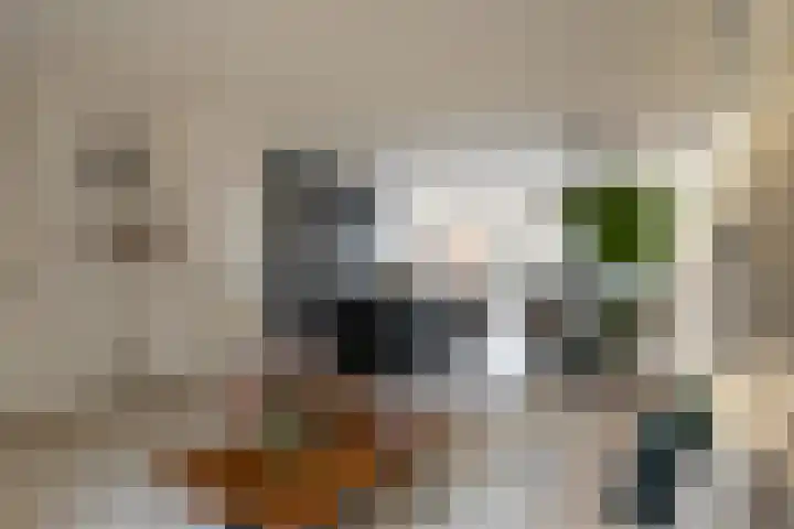 Sweelinckstraat 20 Losser thumbnail 12