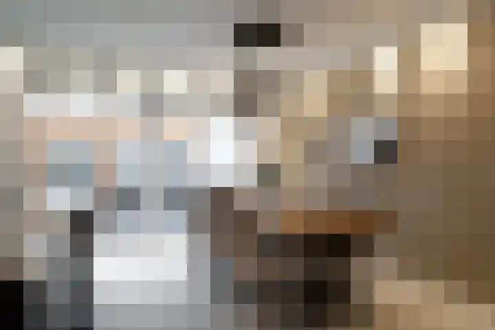 Sweelinckstraat 20 Losser thumbnail 15
