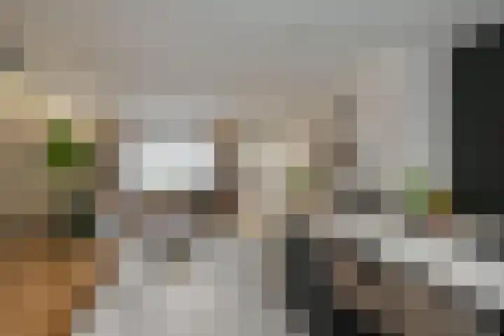 Sweelinckstraat 20 Losser thumbnail 16