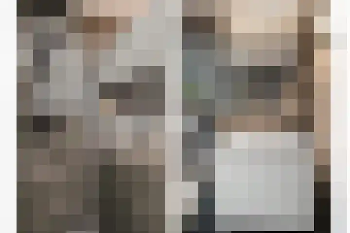 Sweelinckstraat 20 Losser thumbnail 23