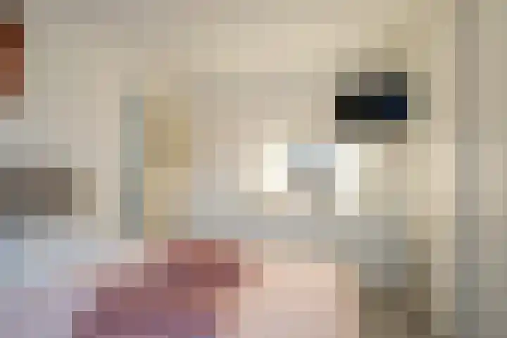 Sweelinckstraat 20 Losser thumbnail 25