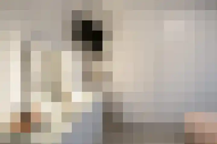 Sweelinckstraat 20 Losser thumbnail 26