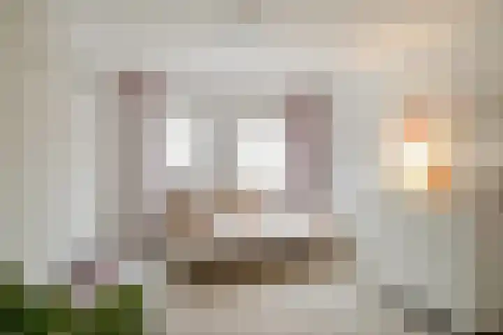 Sweelinckstraat 20 Losser thumbnail 27