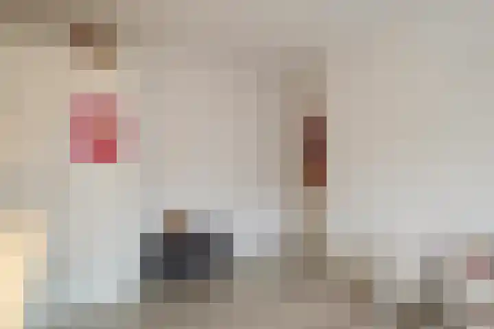 Sweelinckstraat 20 Losser thumbnail 28