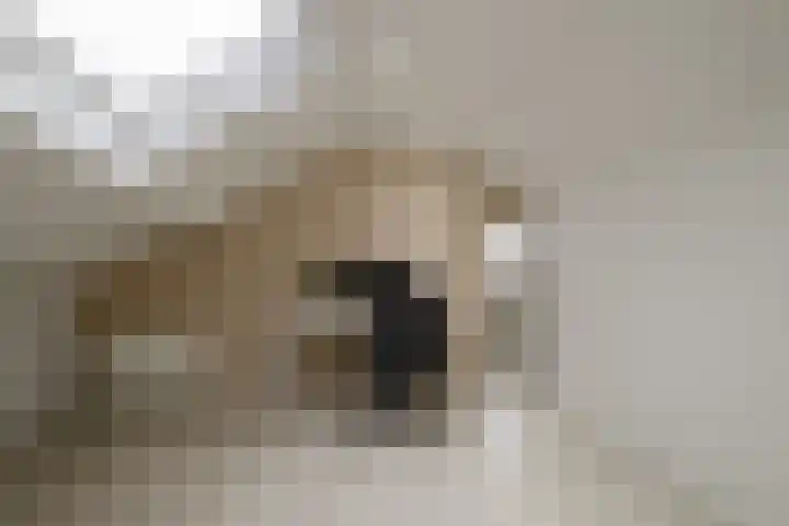 Sweelinckstraat 20 Losser thumbnail 30