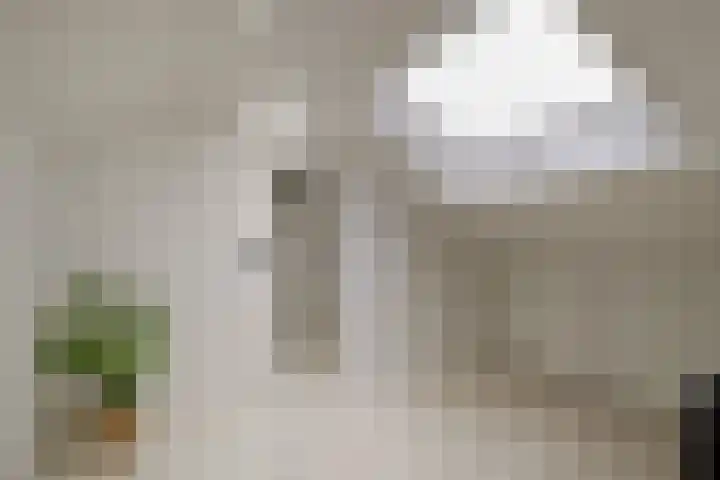 Sweelinckstraat 20 Losser thumbnail 31