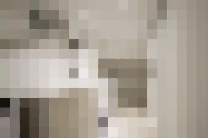 Sweelinckstraat 20 Losser thumbnail 33