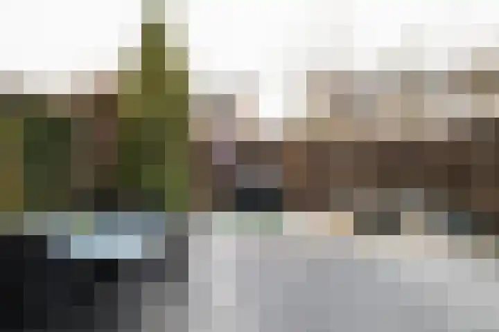 Sweelinckstraat 20 Losser thumbnail 35