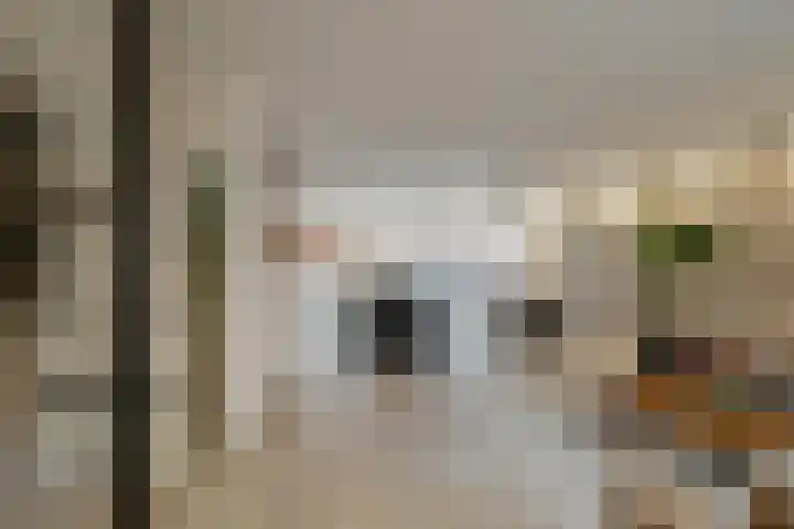 Sweelinckstraat 20 Losser thumbnail 9