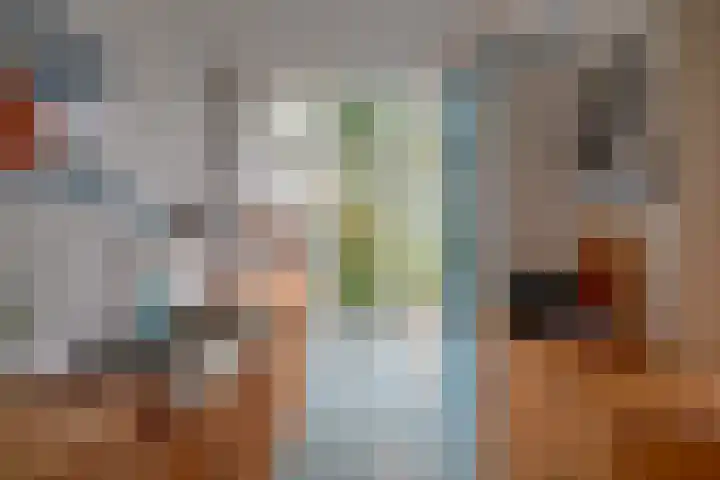 Sweelinckstraat 20 Utrecht thumbnail 18