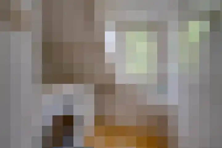 Sweelinckstraat 20 Utrecht thumbnail 45