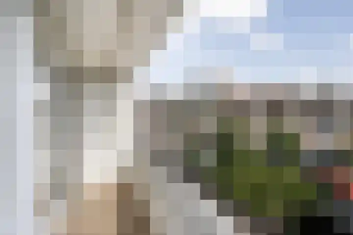 Sweelinckstraat 212 Vlaardingen thumbnail 24