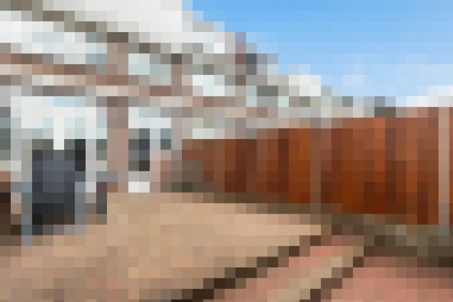 Sweelinckstraat 22 Dordrecht thumbnail 28