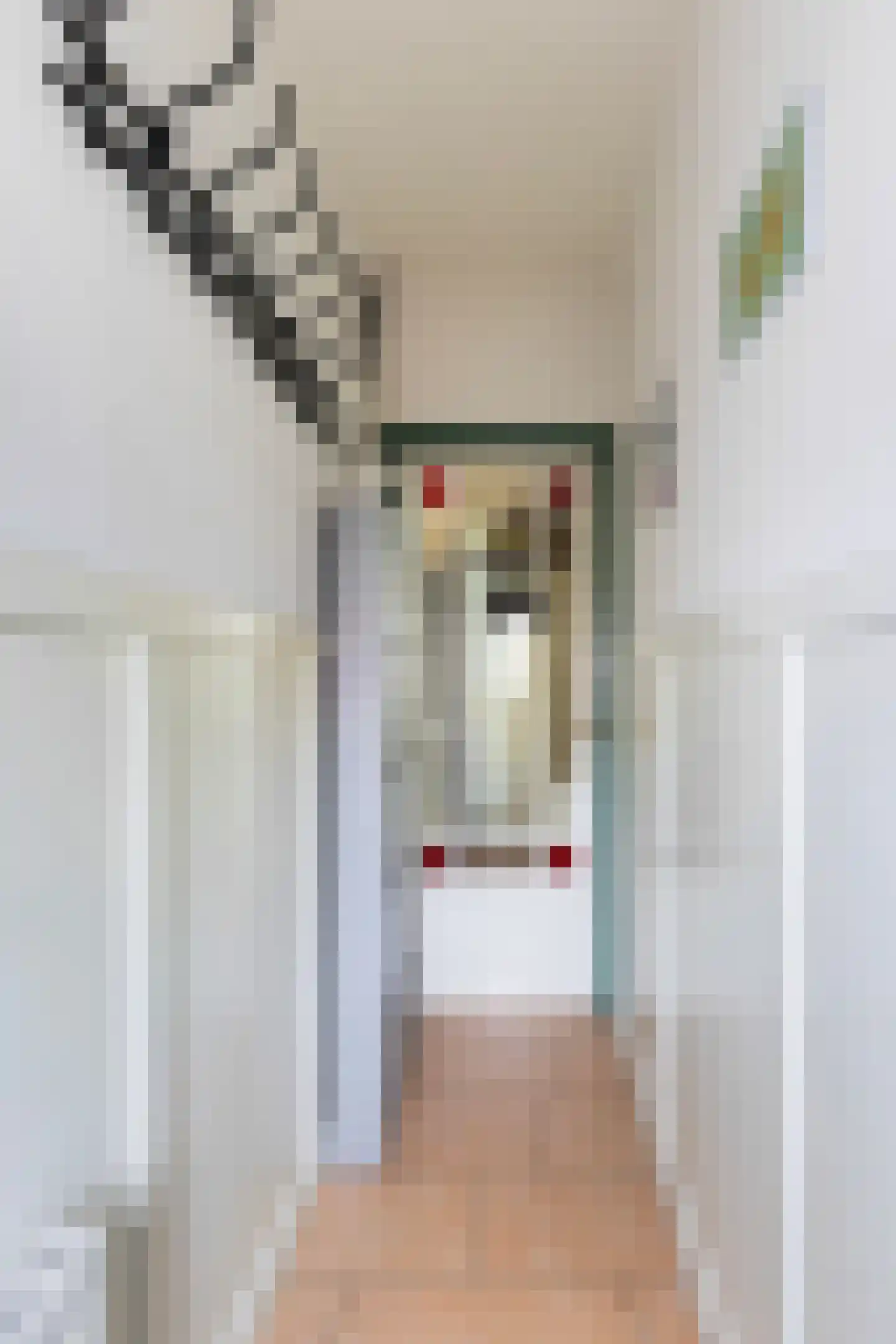 Sweelinckstraat 22 Dordrecht thumbnail 5