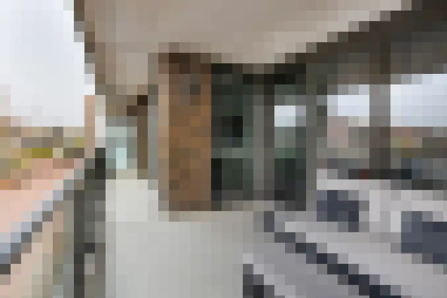 Sweelinckstraat 22 Haarlem thumbnail 21