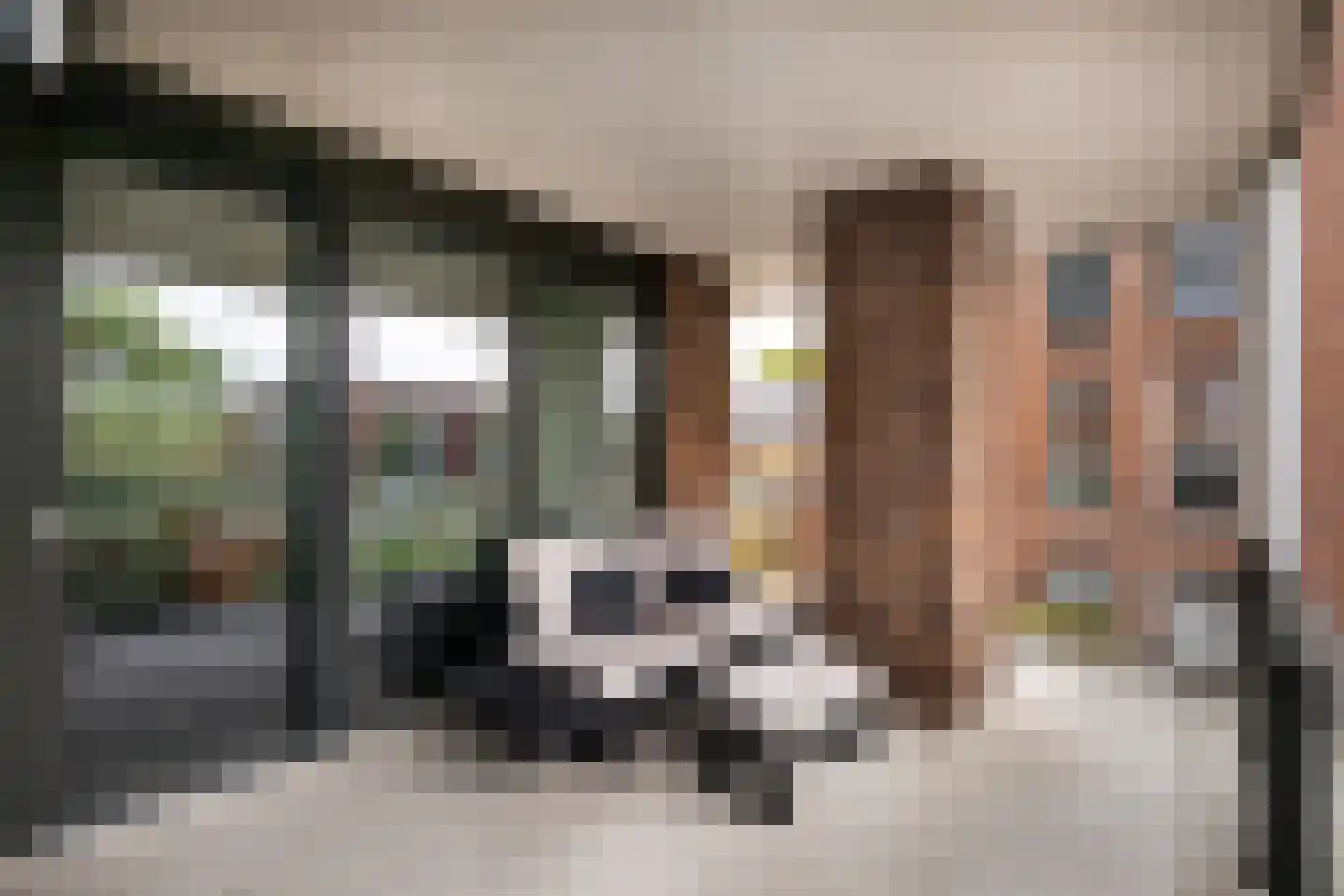 Sweelinckstraat 22 Haarlem thumbnail 22