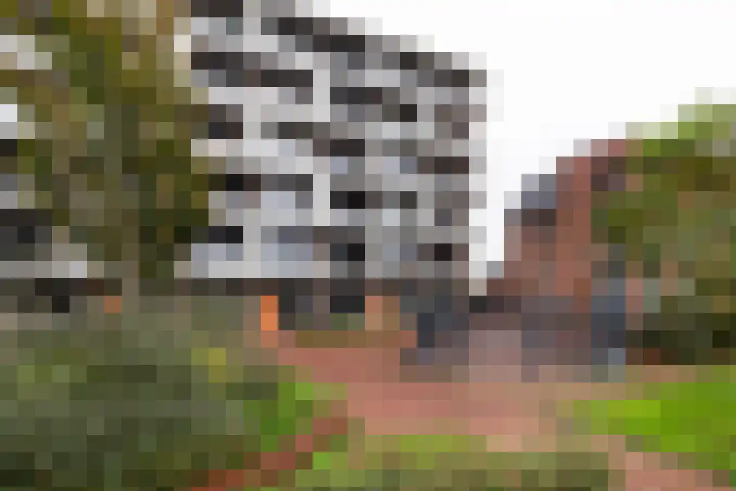 Sweelinckstraat 22 Haarlem thumbnail 30