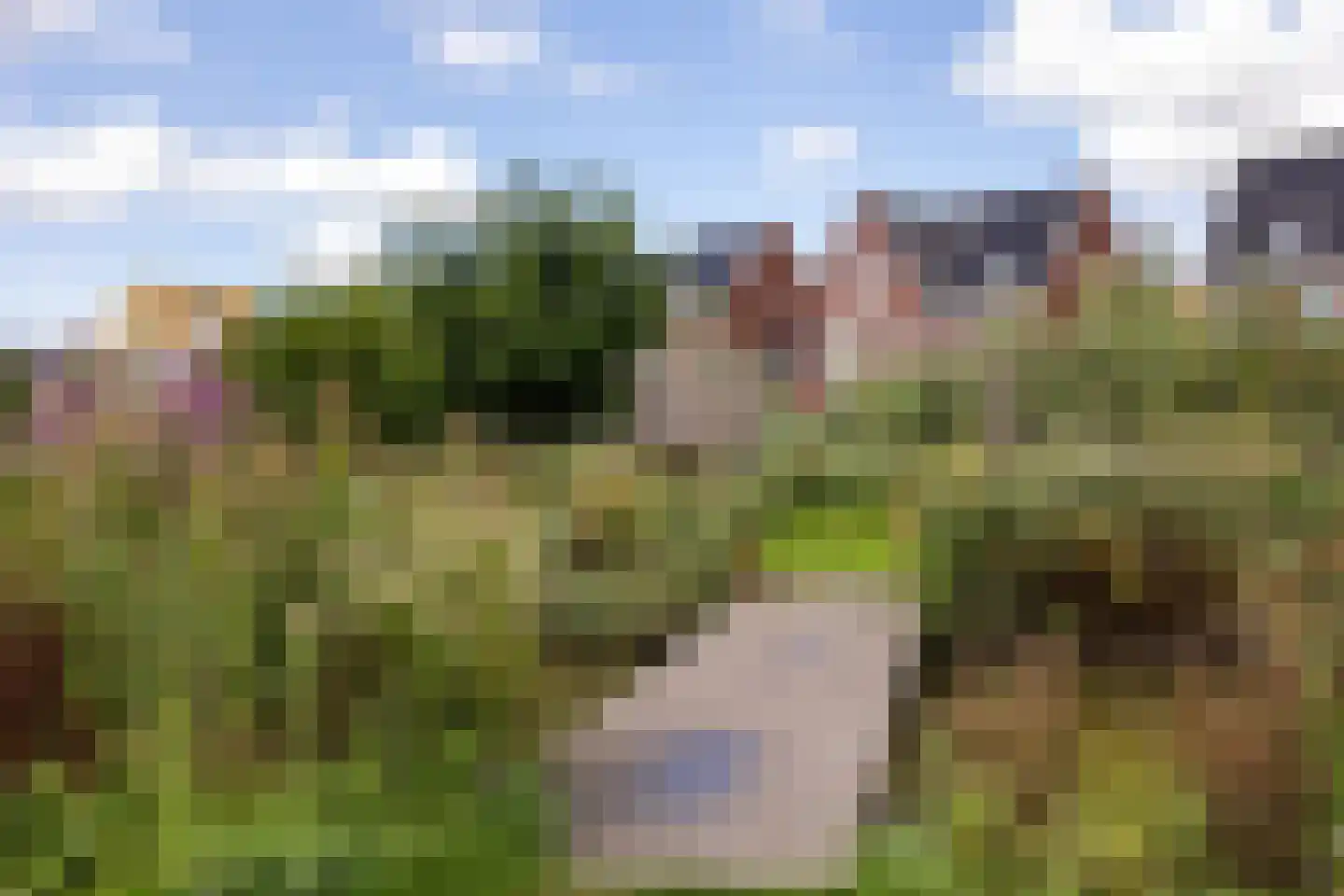 Sweelinckstraat 22 Haarlem thumbnail 32