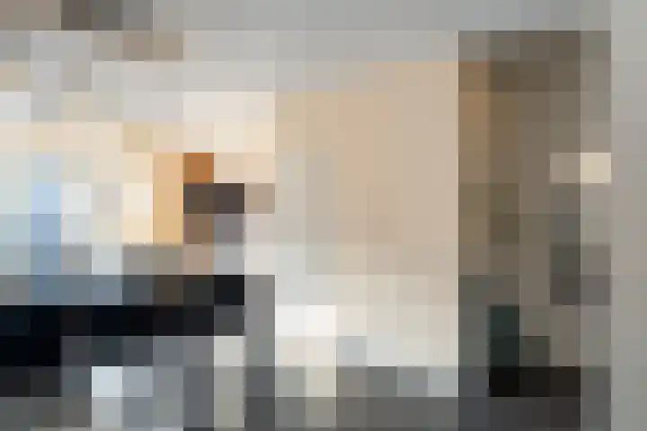 Sweelinckstraat 23 Waalwijk thumbnail 10