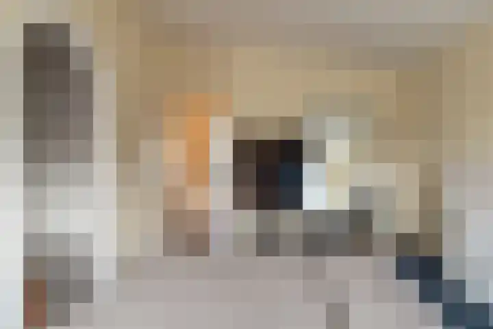 Sweelinckstraat 23 Waalwijk thumbnail 15