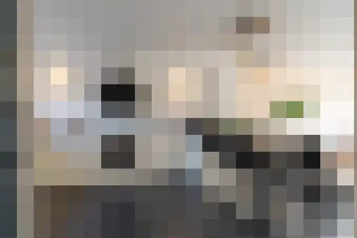 Sweelinckstraat 23 Waalwijk thumbnail 8