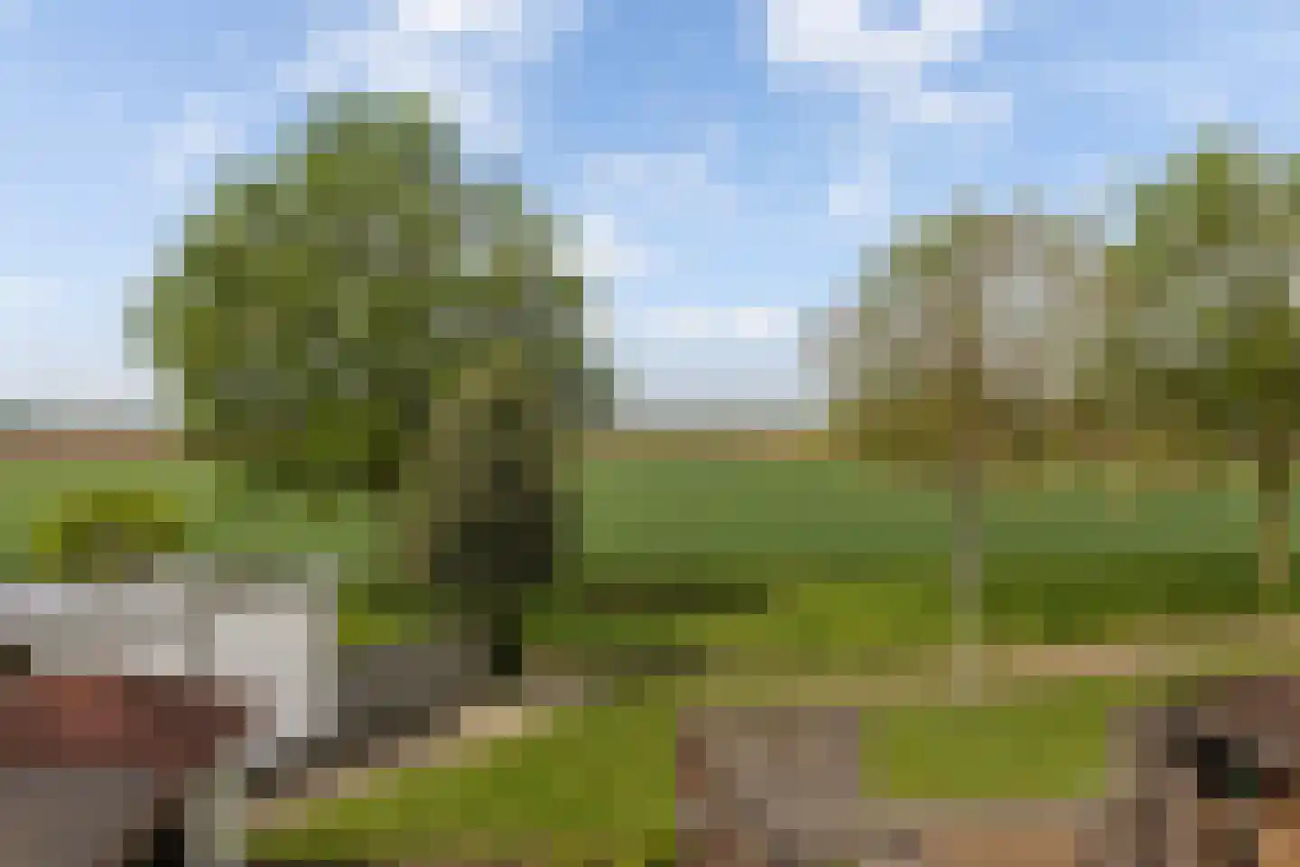 Sweelinckstraat 25 Numansdorp thumbnail 21