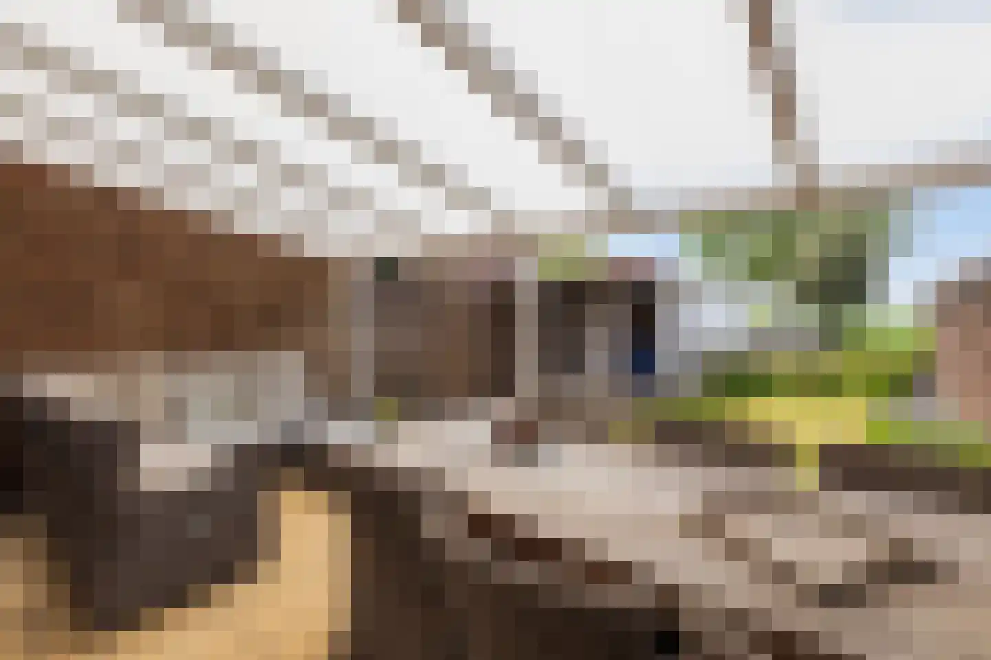 Sweelinckstraat 25 Numansdorp thumbnail 32