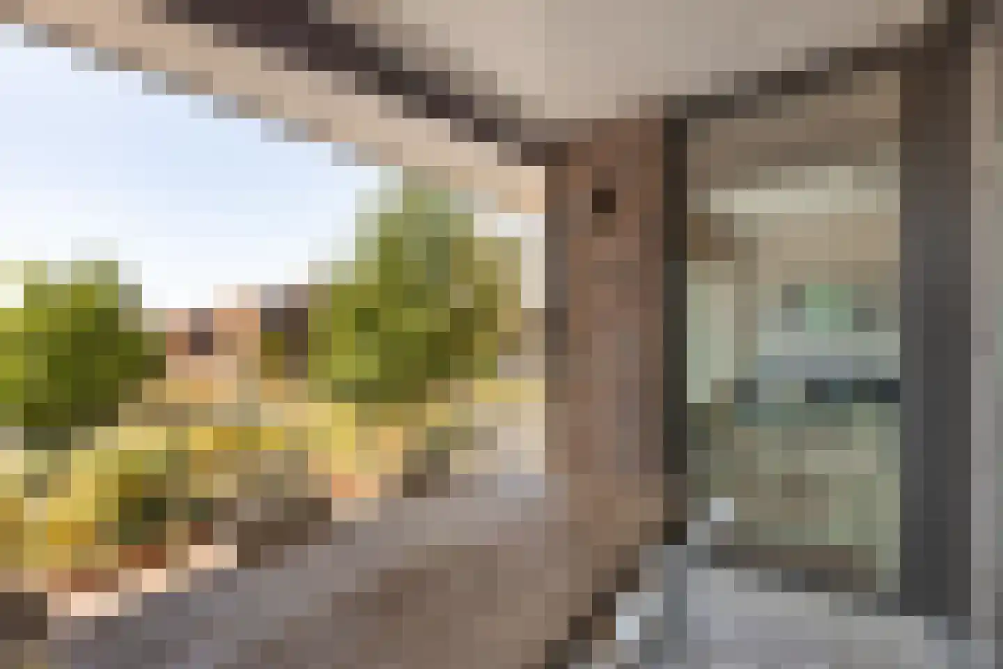 Sweelinckstraat 26 Haarlem thumbnail 20