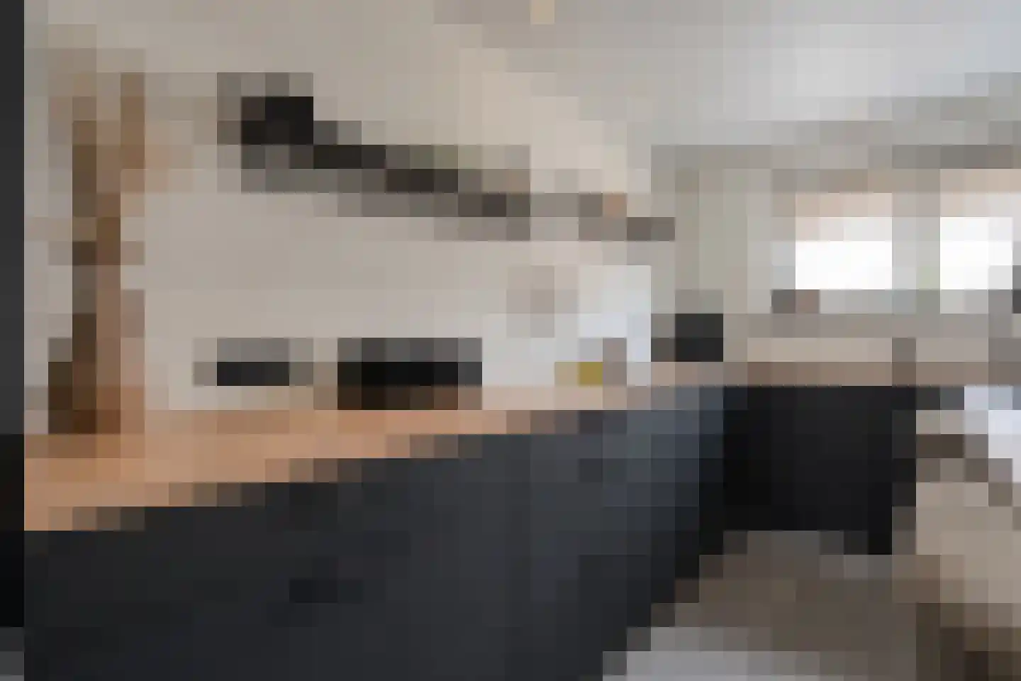 Sweelinckstraat 3 Dedemsvaart thumbnail 17