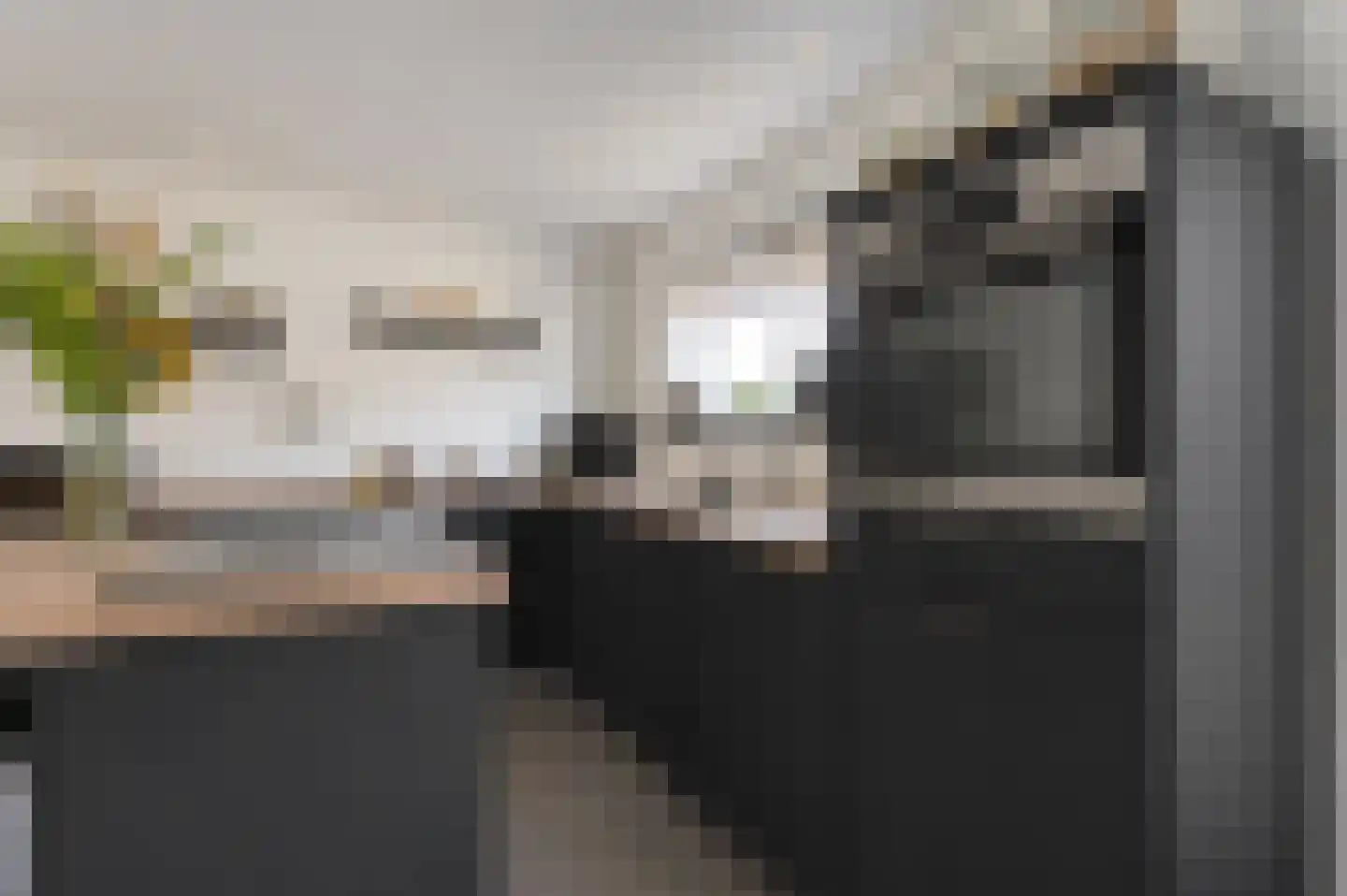 Sweelinckstraat 3 Dedemsvaart thumbnail 19