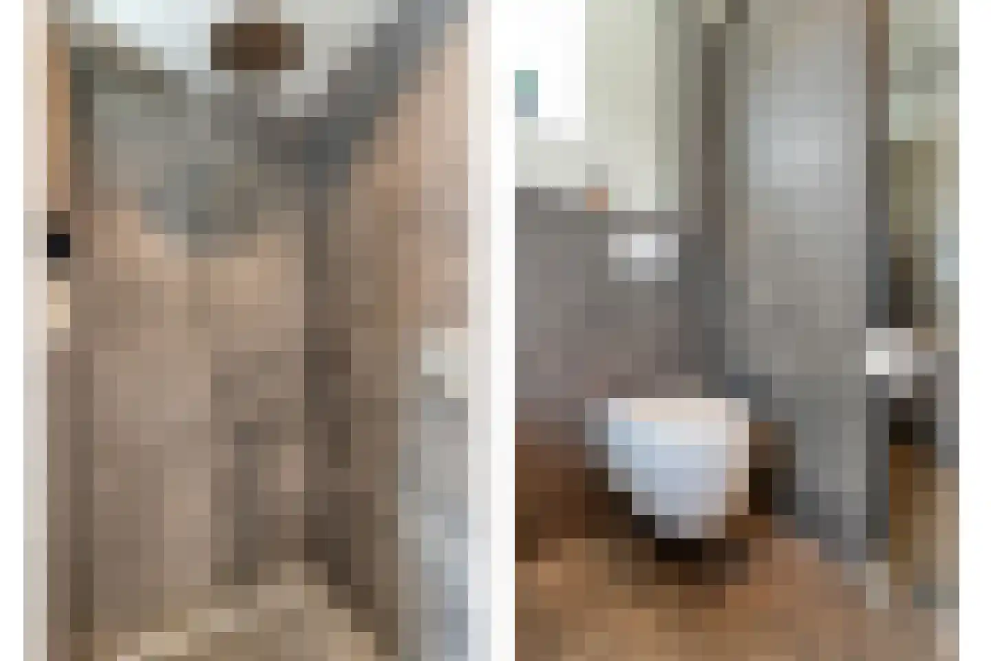 Sweelinckstraat 3 Dedemsvaart thumbnail 30