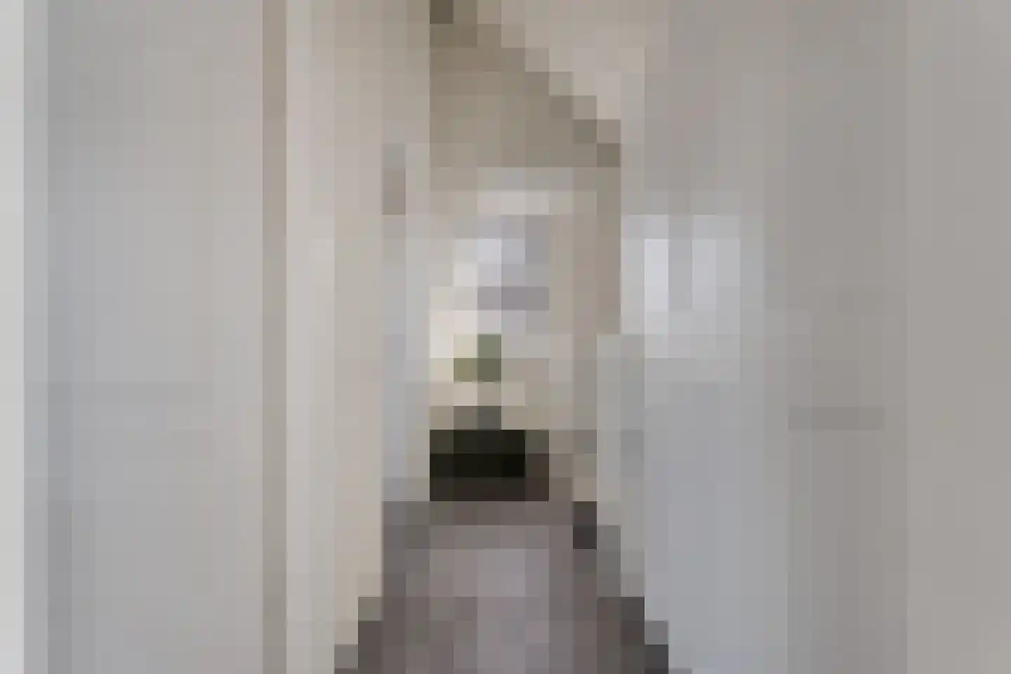 Sweelinckstraat 3 Dedemsvaart thumbnail 31