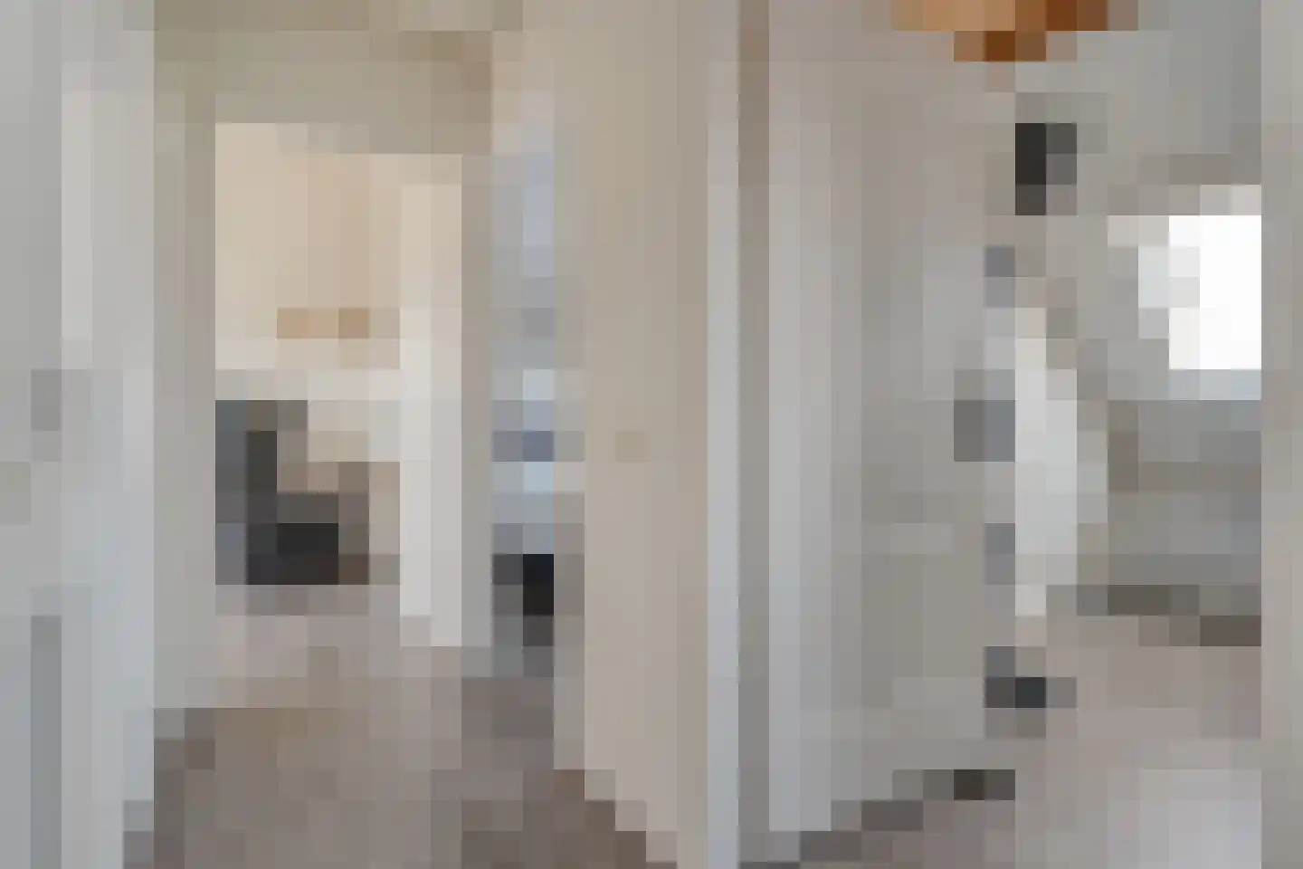 Sweelinckstraat 3 Dedemsvaart thumbnail 32