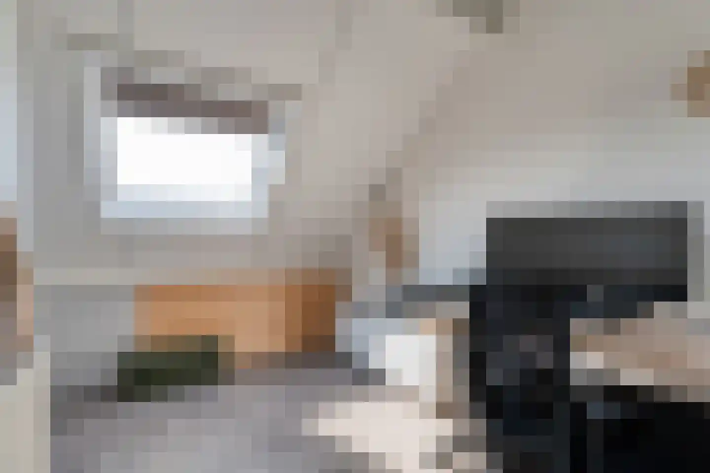 Sweelinckstraat 3 Dedemsvaart thumbnail 33