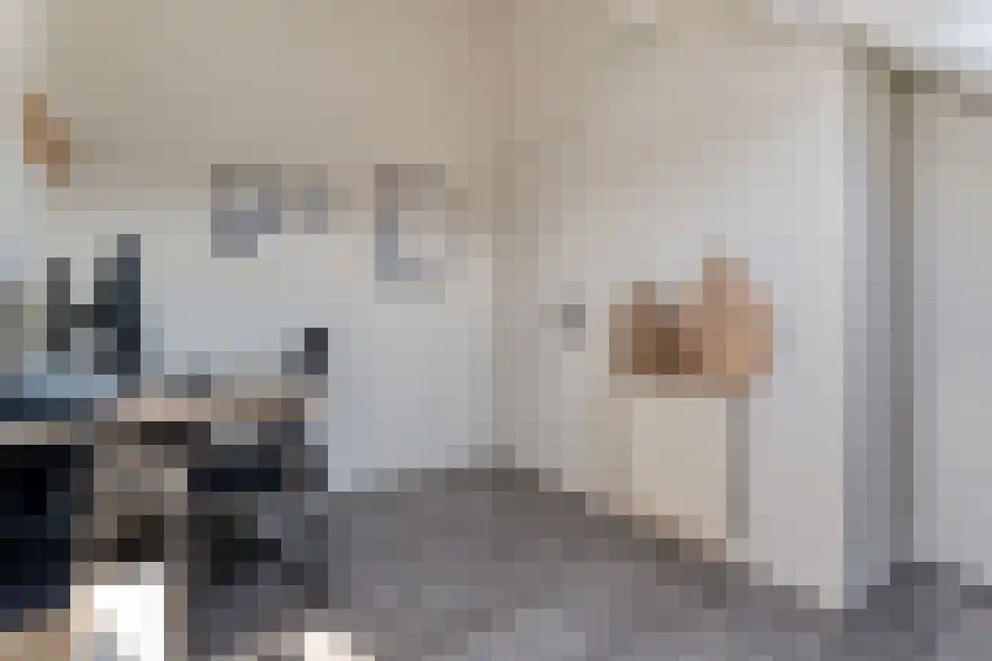 Sweelinckstraat 3 Dedemsvaart thumbnail 34