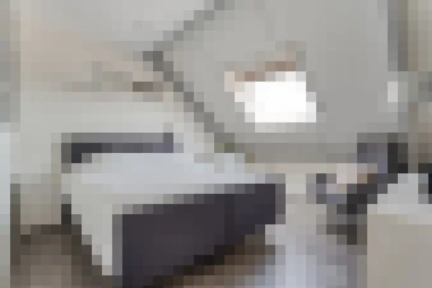 Sweelinckstraat 3 Dedemsvaart thumbnail 35