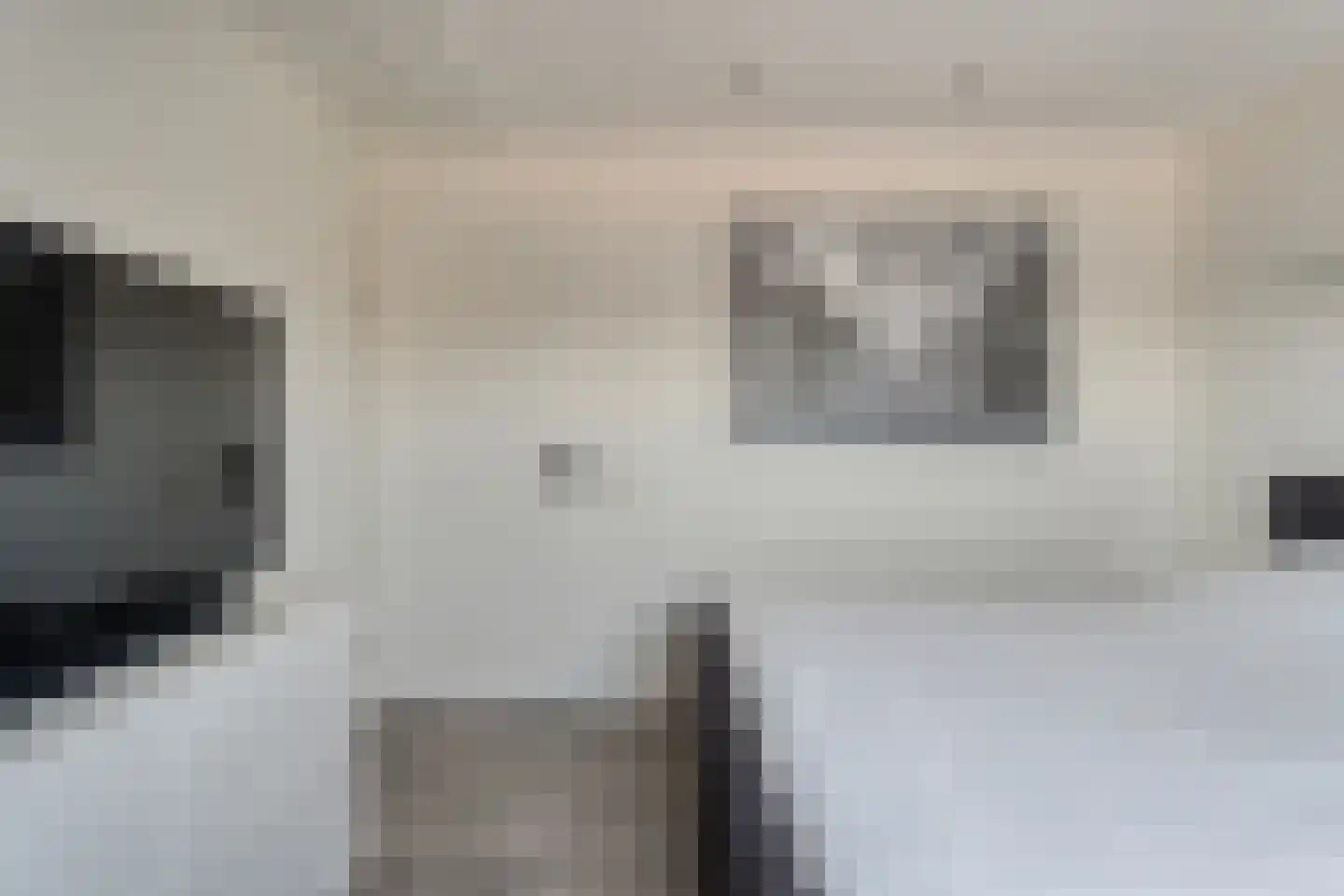 Sweelinckstraat 3 Dedemsvaart thumbnail 36