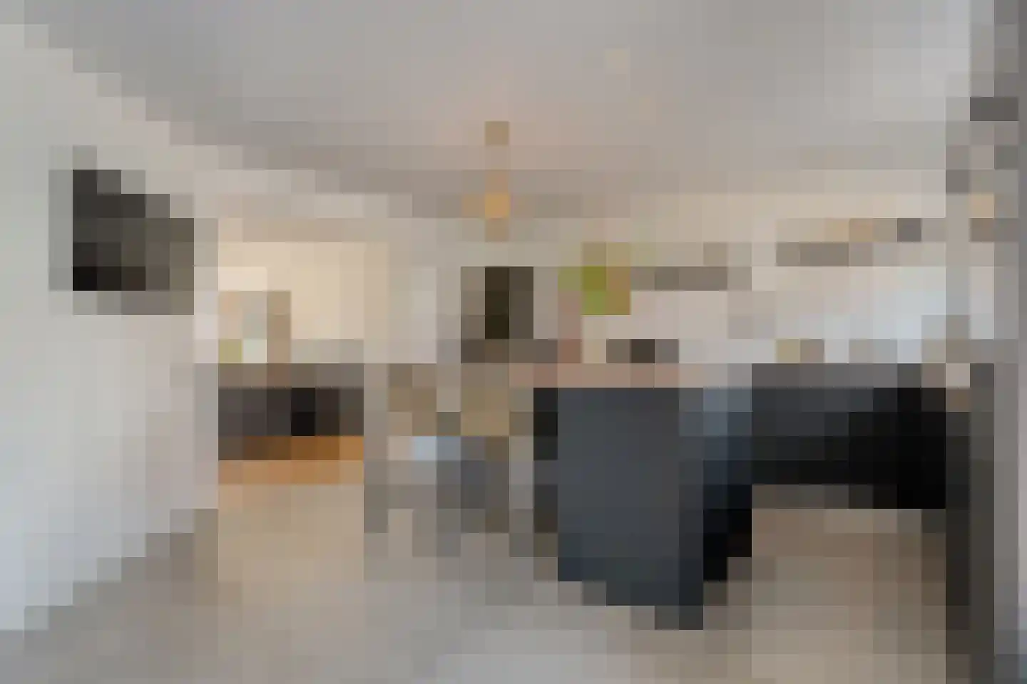 Sweelinckstraat 3 Dedemsvaart thumbnail 4