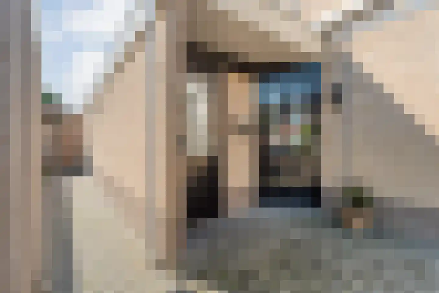 Sweelinckstraat 3 Dedemsvaart thumbnail 50