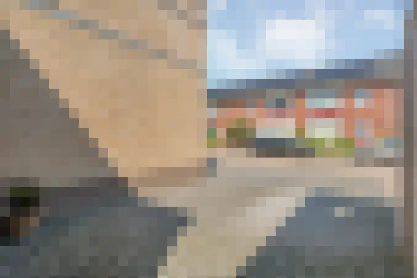 Sweelinckstraat 3 Dedemsvaart thumbnail 51