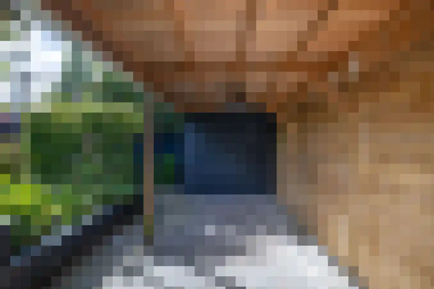 Sweelinckstraat 3 Dirksland thumbnail 14